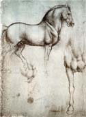 davinci-horse